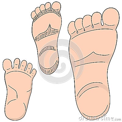 Vector set of foot sole Vector Illustration