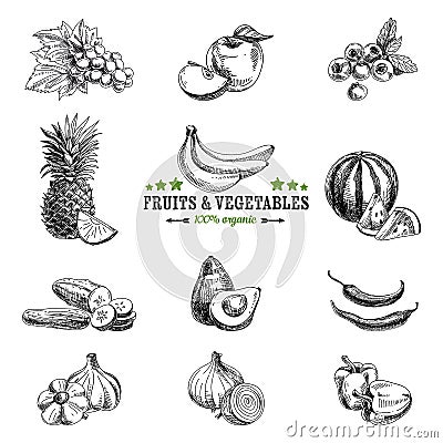 Vector set of fruit and vegetables Vector Illustration
