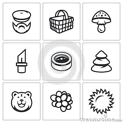 Vector Set of Gathering in the Forest Icons. Mushroomer, Basket, Mushroom, Tool, Orientation, Forest, Predator, Fruit Vector Illustration