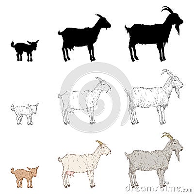 Vector Set of Goats. Silhouette, Sketch and Cartoon Illustrations Vector Illustration