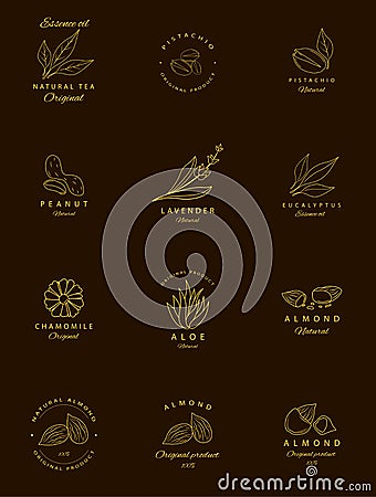 Vector set of golden packaging design templates and emblems. Argan, aloe, peanut, almond, eucalyptus, tea, chamomile and pistachio Stock Photo