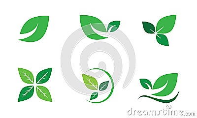 Vector Set Green Leaf,ecology,Leaves, Nature Vector Illustration