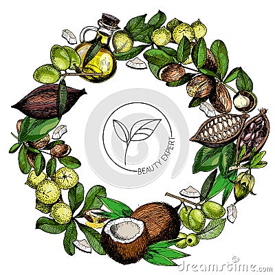 Vector set of hair care ingredients. Organic hand drawn colored elements.Macadamia, argan, coconut, cocoa, olive, jojoba wreath. Vector Illustration