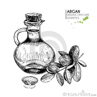 Vector set hair care ingredients. Organic hand drawn elements. Argan nuts, branch, bottle oil. Vector Illustration