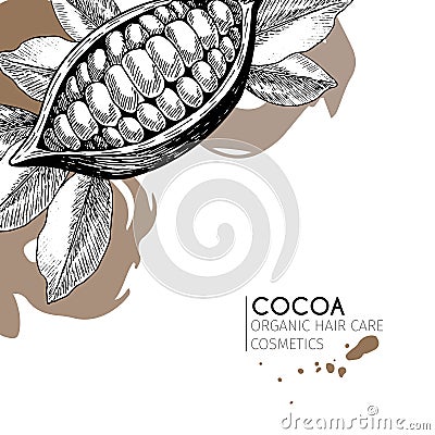 Vector set of hair care ingredients. Organic hand drawn elements. Cocoa bean. Vector Illustration