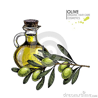 Vector set of hair care ingredients. Organic hand drawn elements. Farm market vegetables. Colored green olive branch Vector Illustration