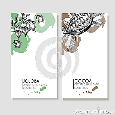 Vector set of hair care ingredients. Organic hand drawn elements. Flyers with jojoba and cocoa. Vector Illustration