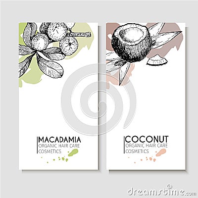 Vector set of hair care ingredients. Organic hand drawn elements. Flyers with macadamia and coconut. Vector Illustration