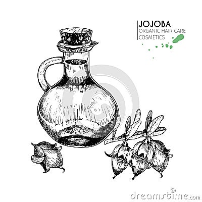 Vector set of hair care ingredients. Organic hand drawn elements. Jojoba and bottle of oil. Vector Illustration