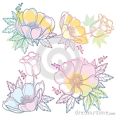 Vector set of hand drawing outline Anemone flower or Windflower, bud and leaf in pastel pink, orange and blue color isolated. Vector Illustration