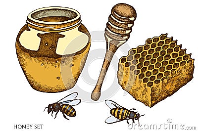 Vector set of hand drawn colored honey Vector Illustration
