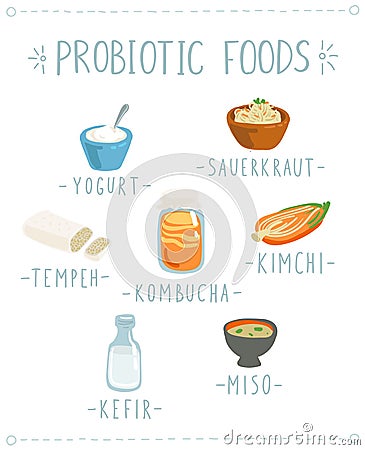 Probiotic Foods Hand Drawn Vector Illustration Cartoon Illustration