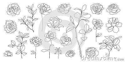 Vector set of hand drawn, single continuous line flowers, leaves. Art floral elements. Use for t-shirt prints, logos Vector Illustration