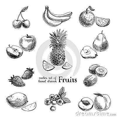 Vector set of hand drawn vintage fruits and Vector Illustration