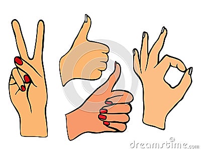 Vector set of hands. Vector Illustration