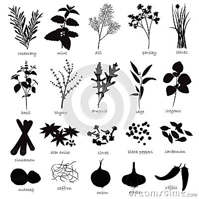 Vector Set of Herbs and Spices Vector Illustration