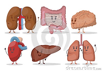 Vector set of human internal organs illustrations. Heart, lungs, kidneys, liver, brain, stomach. Smiling characters. Vector Illustration