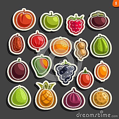 Vector Set icons of colorful Fruits and Berries Vector Illustration
