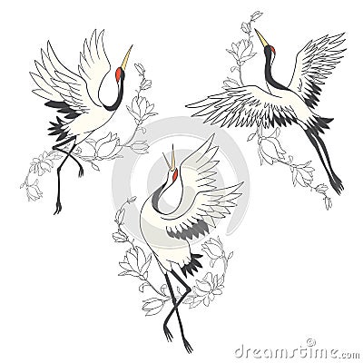 Vector set of illustrations bird crane. White stork Vector Illustration