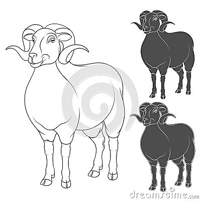 Vector set of illustrations depicting sheep. EPS10 Vector Illustration