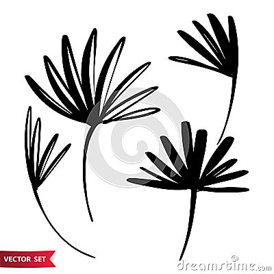 Vector set of ink drawing palm leaves, monochrome artistic botanical illustration, isolated floral elements, hand drawn Vector Illustration