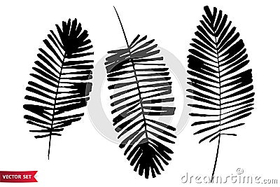 Vector set of ink drawing palm leaves, monochrome artistic botanical illustration, isolated floral elements, hand drawn Vector Illustration