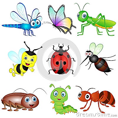 Vector Set of Insects. Vector Illustration