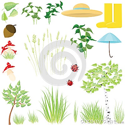 Forest vector set Stock Photo