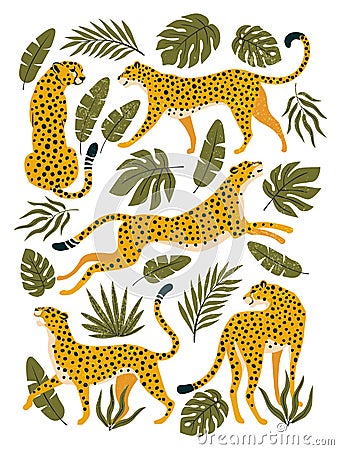 Vector set of leopards or cheetahs and tropical leaves. Vector Illustration