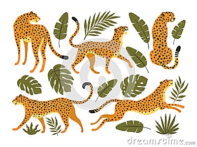 Vector set of leopards or cheetahs and tropical leaves. Vector Illustration