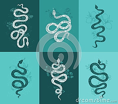 Vector set of linear mystical icons and symbols of snakes with plants. Interior posters in trendy abstract style. Vector Illustration