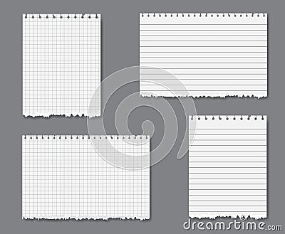 Vector set with lined and graph paper Vector Illustration