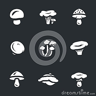 Vector Set of Mushrooms. Vector Illustration