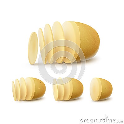 Vector Set of New Yellow Raw Sliced Potatoes Vector Illustration