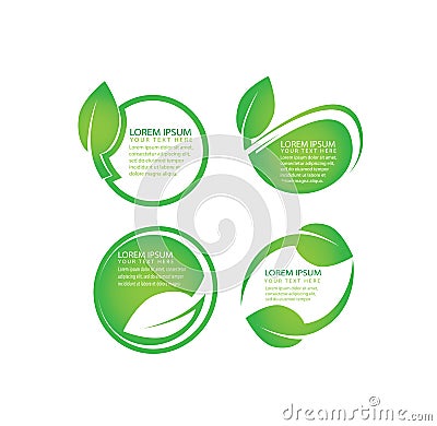 Vector set of organic, green leaf, natural, biology labels for web design with place for editable text Vector Illustration