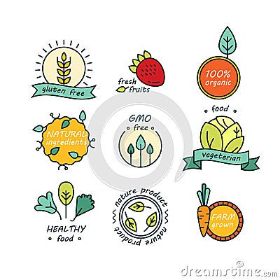 Vector set of green and organic products labels and badges - collection of different icons and illustrations related to Vector Illustration