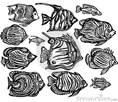 Vector set of Ornamental decorative fish Vector Illustration