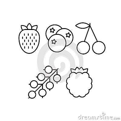 Vector set of outline berries such as strawberry, cherry, bilber Vector Illustration