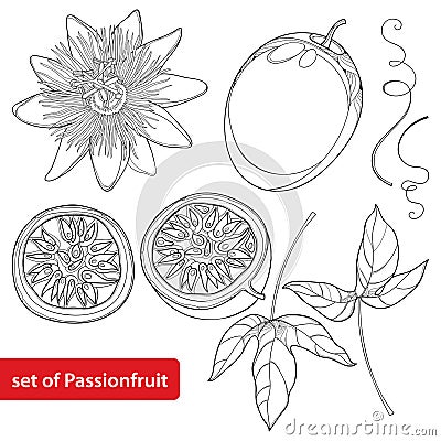 Vector set with outline Passion fruit or Maracuya. Half fruit, leaf and flower isolated on white background. Vector Illustration