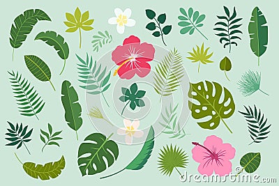 Vector set with palm leaves and flowers Vector Illustration