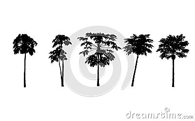 Vector set. papayas trees silhouettes on white background. illustration. Vector Illustration