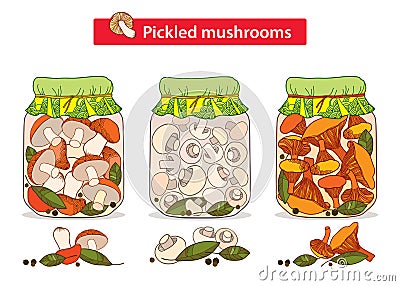 Vector set with pickled orange-cap boletus, chanterelles and champignons mushroom in glass jar with bay leaf and black pepper. Vector Illustration