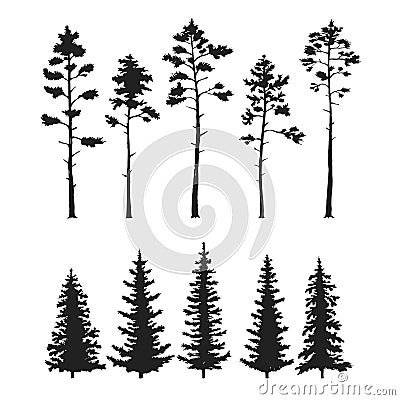 Vector set with pine trees isolated on white background Vector Illustration