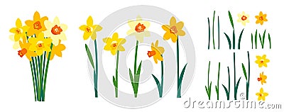 Vector set of positive floral illustrations isolated on white background. Early spring garden flowers. Yellow daffodils Vector Illustration