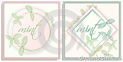 Vector set of postcards templates, invitation with hand-drawn graphics sprigs of beautiful mint, Gently color shades of green, Stock Photo
