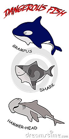 Vector set of predator fish: shark, killer whale and fish hammer Stock Photo