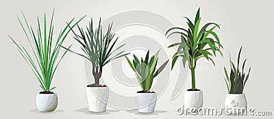 Vector set of realistic green houseplants in pots Vector Illustration