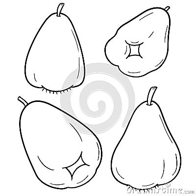 Vector set of rose apple Vector Illustration