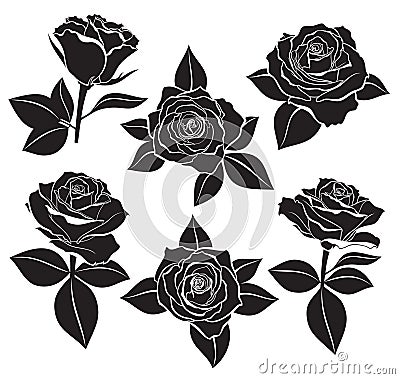 Vector set of Rose buds, stems and leaves with white contour line and silhouettes in black color. Vector illustration for design a Vector Illustration