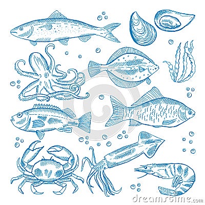 Vector set of seafood Vector Illustration